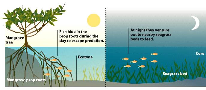 ecotone submittable ecotone submittable